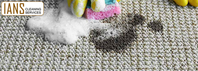 Remove Oil Stains From Carpet