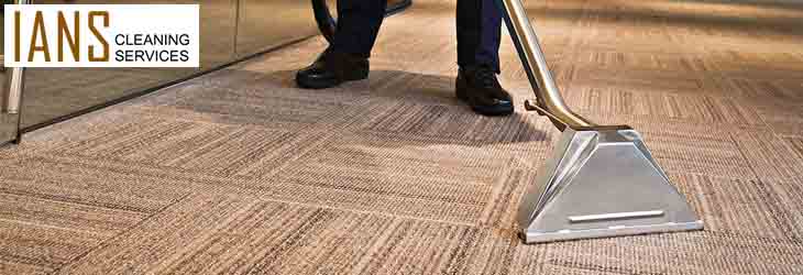 Carpet Cleaning Services