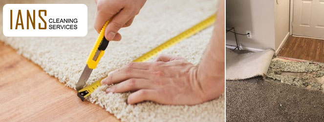 Best Carpet Repair Services Hobart