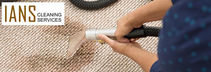 Carpet Cleaning Oakford