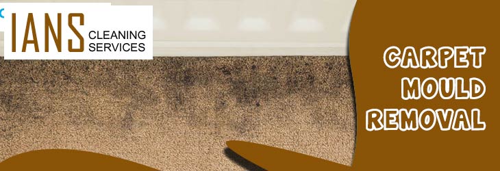Carpet Mould Removal Saddleworth