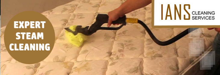 Mattress Steam Cleaning For Bed Bug Removal