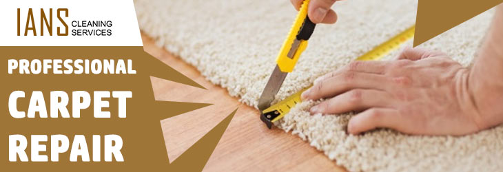 Professional Carpet Repair Glenaroua