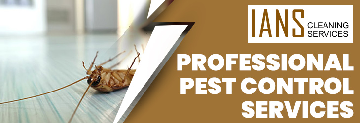 Professional Pest Control Canberra