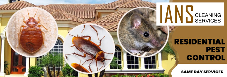 Residential Pest Control Sydney