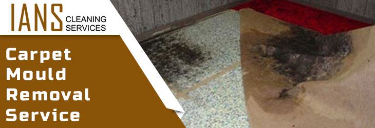 Carpet Mould Removal Greystanes