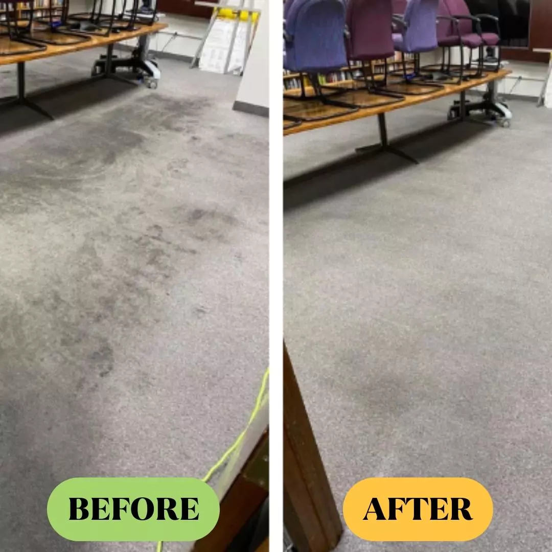 Before After Carpet Cleaning Service